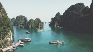 Start Your Business in Vietnam