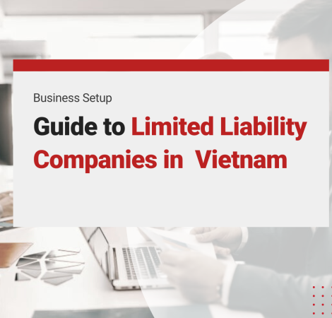 limited liability companies in vietnam