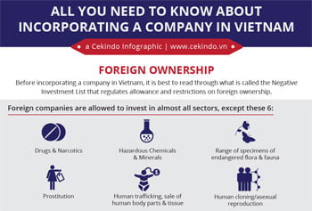 Infographic-Vietnam-Incorporation