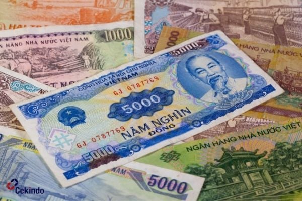 9 Studies How To Invest Vietnam Free