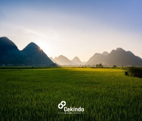 agriculture vietnam