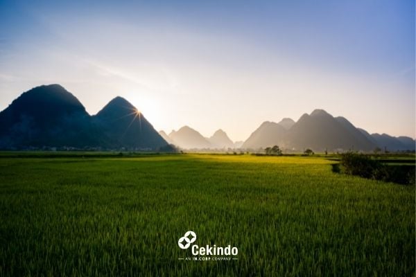 agriculture vietnam