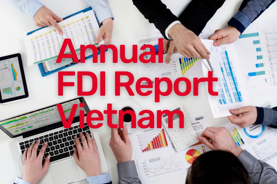Vietnam FDI Report