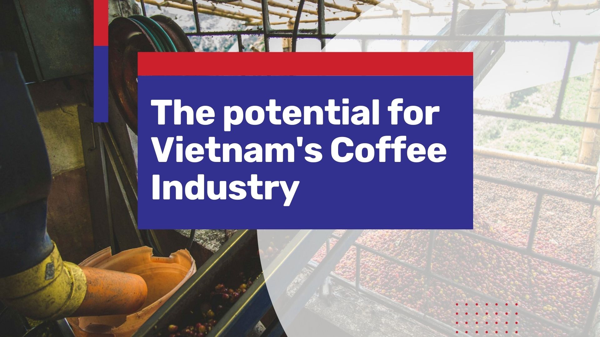 Vietnam’s Coffee Market, an Attractive Environment for new Investments