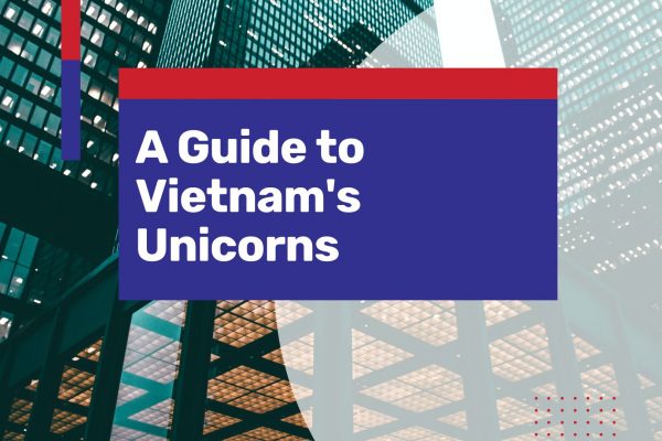 vietnam unicorns