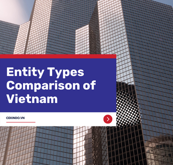 Entity Types Comparison of Vietnam