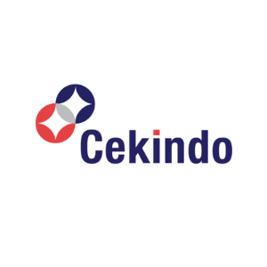 cekindo real estate