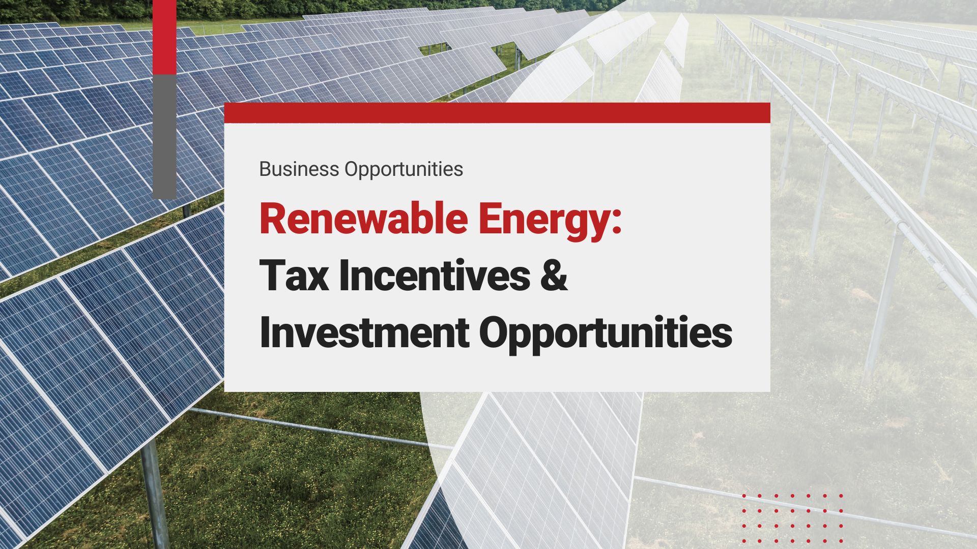 Renewable Energy in Vietnam: Tax Incentives and Investment Opportunities